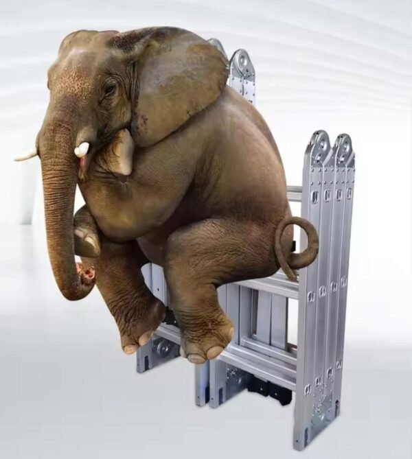 Xinyi Star Safe Ladder